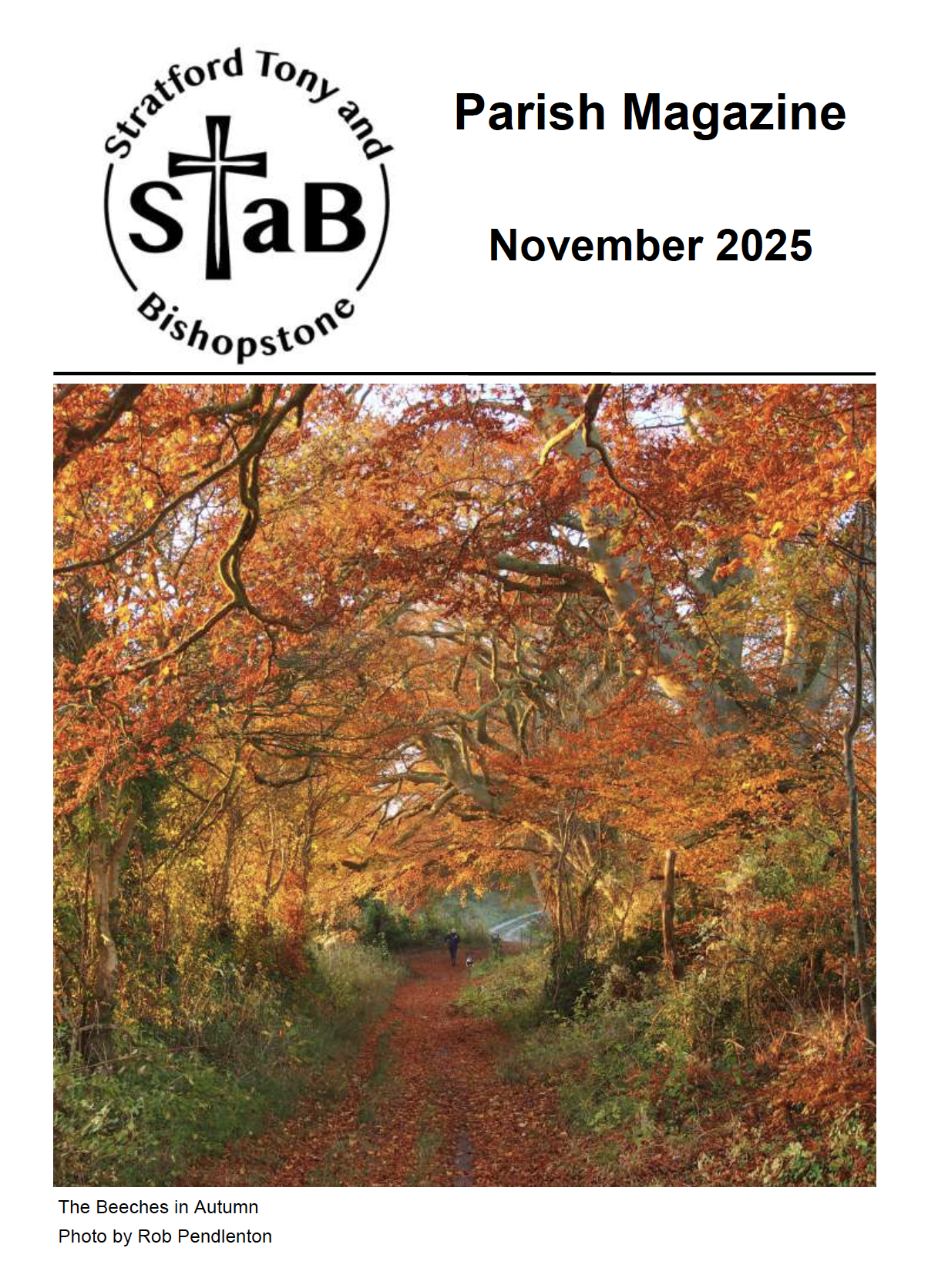 Cover of STaB November 2025